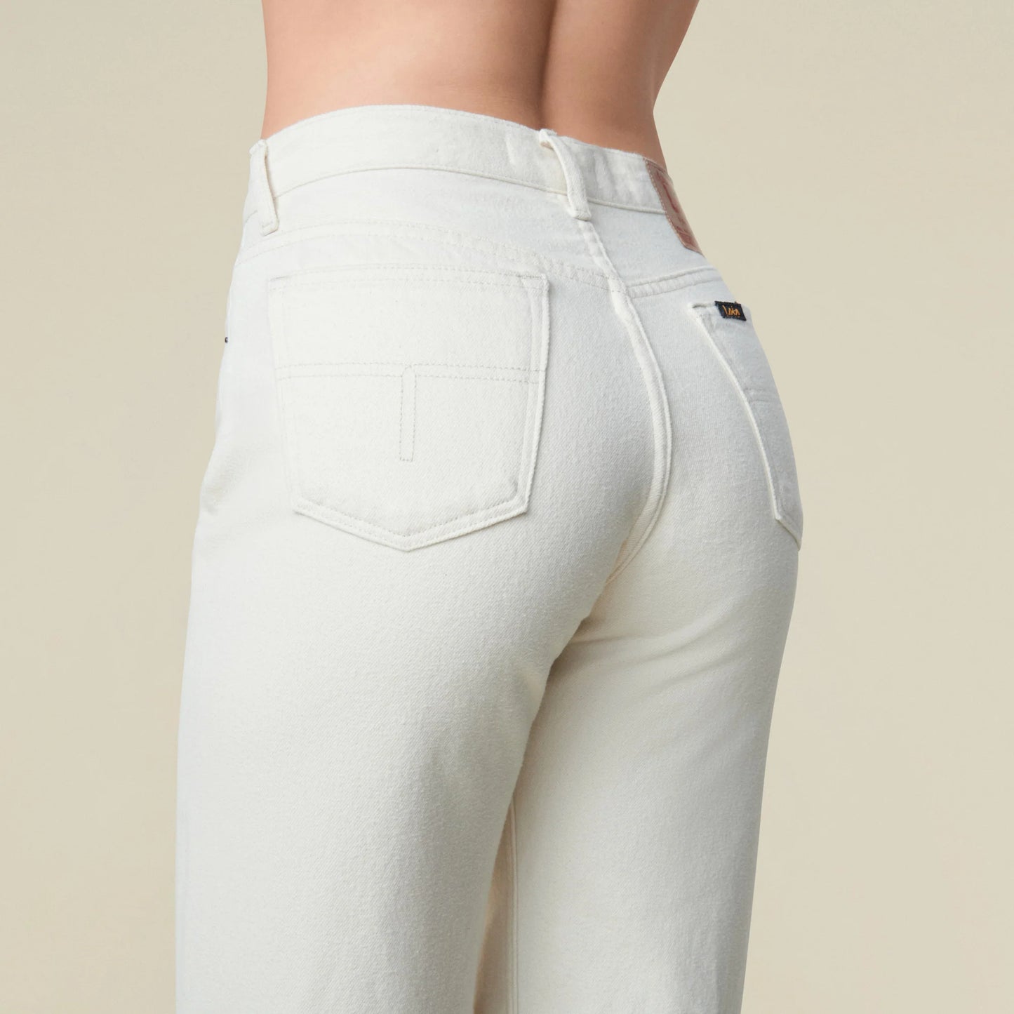 Lindsay palazzo otawa sponge